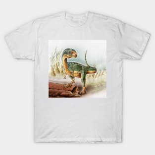 Dinosaur Baby T-Shirt